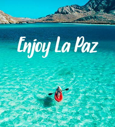 La-Paz-Holiday-Rentals-Condo-306-image-13